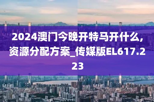2024澳门今晚开特马开什么,资源分配方案_传媒版EL617.223