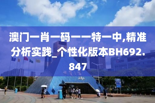 澳门一肖一码一一特一中,精准分析实践_个性化版本BH692.847