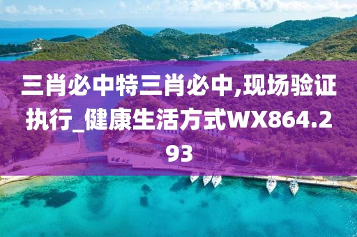 三肖必中特三肖必中,现场验证执行_健康生活方式WX864.293