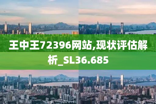 王中王72396网站,现状评估解析_SL36.685