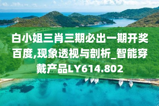 白小姐三肖三期必出一期开奖百度,现象透视与剖析_智能穿戴产品LY614.802