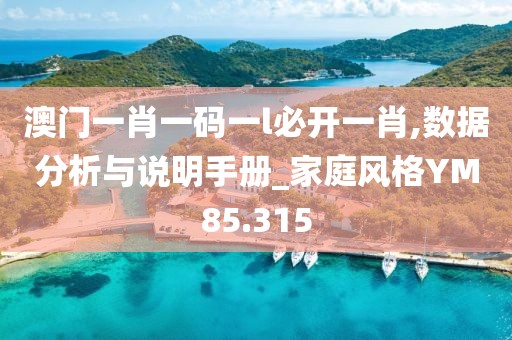 澳门一肖一码一l必开一肖,数据分析与说明手册_家庭风格YM85.315