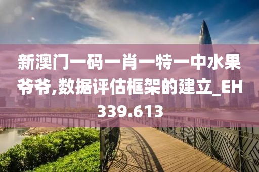 新澳门一码一肖一特一中水果爷爷,数据评估框架的建立_EH339.613