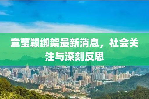 章莹颖绑架最新消息，社会关注与深刻反思