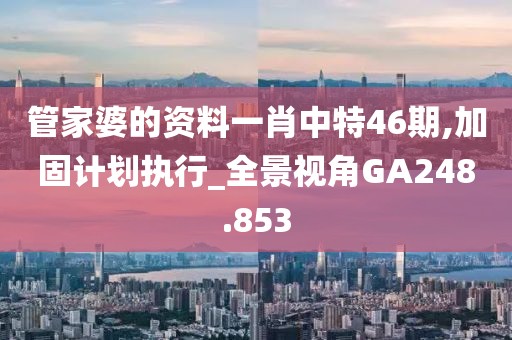 管家婆的资料一肖中特46期,加固计划执行_全景视角GA248.853