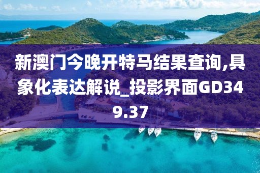 新澳门今晚开特马结果查询,具象化表达解说_投影界面GD349.37