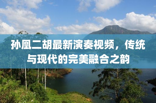 孙凰二胡最新演奏视频，传统与现代的完美融合之韵