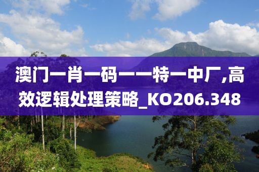 澳门一肖一码一一特一中厂,高效逻辑处理策略_KO206.348
