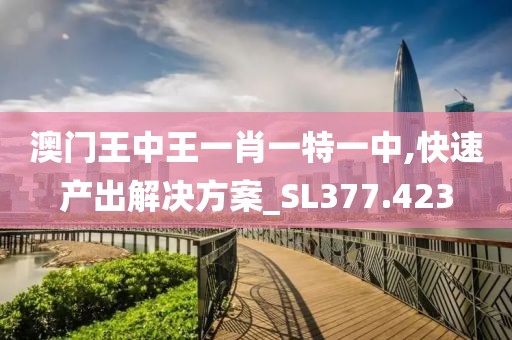 澳门王中王一肖一特一中,快速产出解决方案_SL377.423