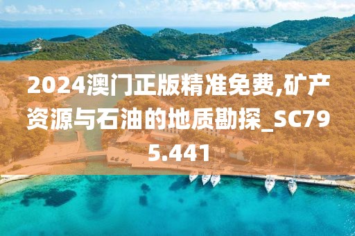 2024澳门正版精准免费,矿产资源与石油的地质勘探_SC795.441