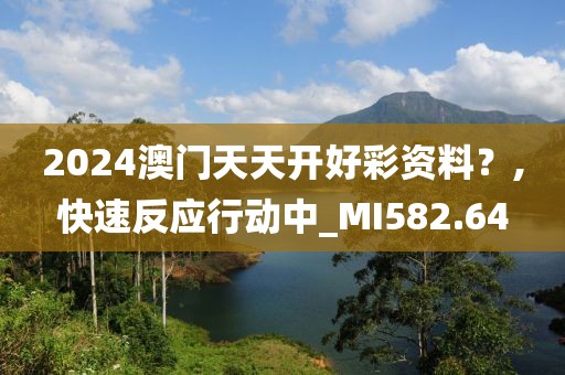 2024澳门天天开好彩资料？,快速反应行动中_MI582.64