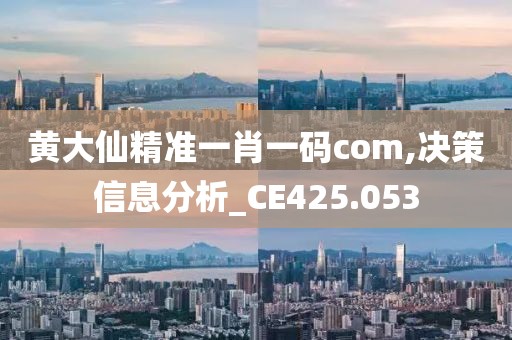 黄大仙精准一肖一码com,决策信息分析_CE425.053