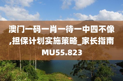 澳门一码一肖一待一中四不像,担保计划实施策略_家长指南MU55.823