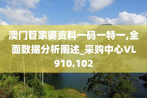 澳门管家婆资料一码一特一,全面数据分析阐述_采购中心VL910.102