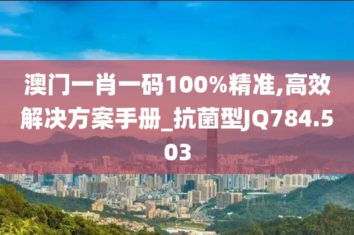 澳门一肖一码100%精准,高效解决方案手册_抗菌型JQ784.503