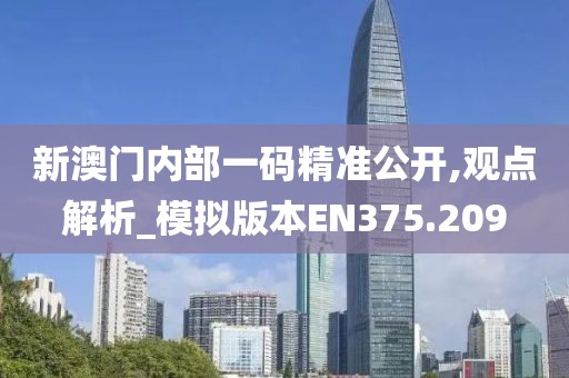 新澳门内部一码精准公开,观点解析_模拟版本EN375.209