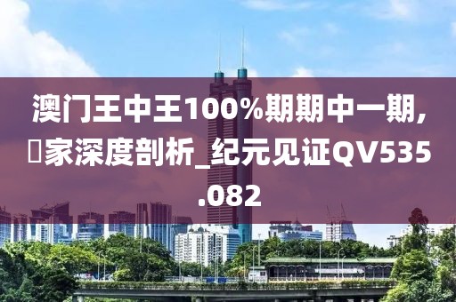 澳门王中王100%期期中一期,專家深度剖析_纪元见证QV535.082