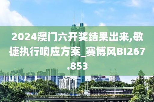 2024澳门六开奖结果出来,敏捷执行响应方案_赛博风BI267.853