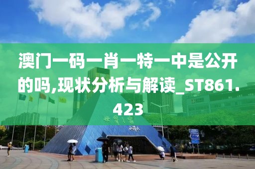 澳门一码一肖一特一中是公开的吗,现状分析与解读_ST861.423