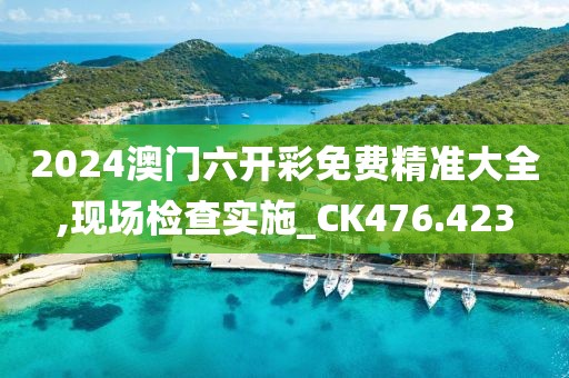 2024澳门六开彩免费精准大全,现场检查实施_CK476.423