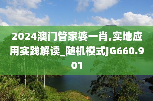 2024澳门管家婆一肖,实地应用实践解读_随机模式JG660.901