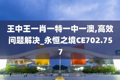 王中王一肖一特一中一澳,高效问题解决_永恒之境CE702.757