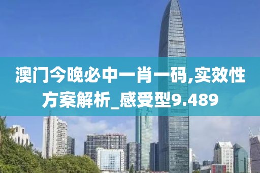 澳门今晚必中一肖一码,实效性方案解析_感受型9.489