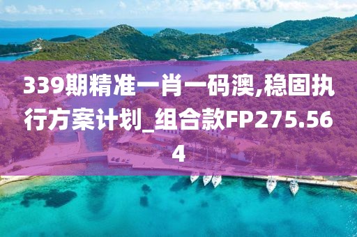 339期精准一肖一码澳,稳固执行方案计划_组合款FP275.564