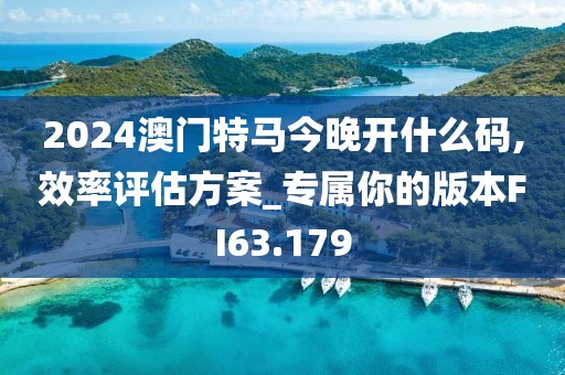 2024澳门特马今晚开什么码,效率评估方案_专属你的版本FI63.179