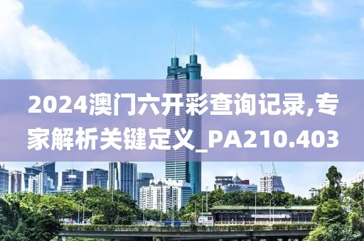 2024澳门六开彩查询记录,专家解析关键定义_PA210.403