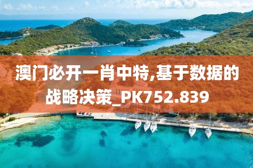 澳门必开一肖中特,基于数据的战略决策_PK752.839