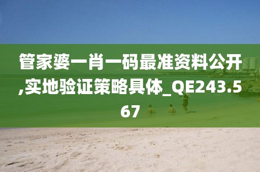 管家婆一肖一码最准资料公开,实地验证策略具体_QE243.567