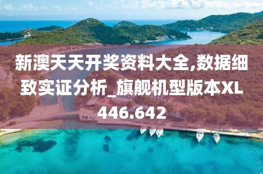 新澳天天开奖资料大全,数据细致实证分析_旗舰机型版本XL446.642