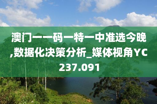 澳门一一码一特一中准选今晚,数据化决策分析_媒体视角YC237.091
