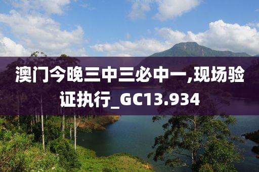 澳门今晚三中三必中一,现场验证执行_GC13.934