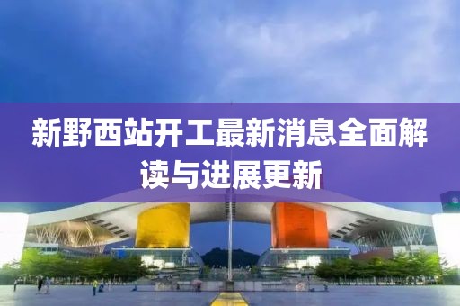 新野西站开工最新消息全面解读与进展更新