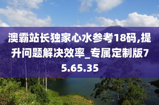 澳霸站长独家心水参考18码,提升问题解决效率_专属定制版75.65.35