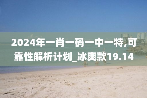 2024年一肖一码一中一特,可靠性解析计划_冰爽款19.14