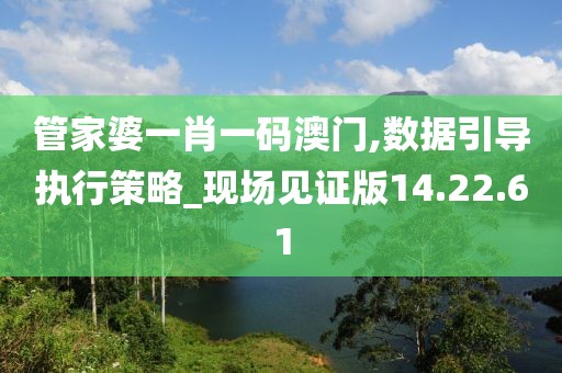 管家婆一肖一码澳门,数据引导执行策略_现场见证版14.22.61