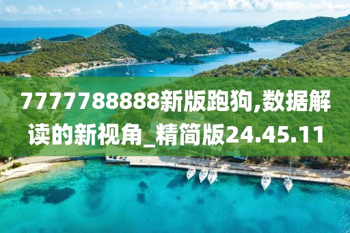 7777788888新版跑狗,数据解读的新视角_精简版24.45.11