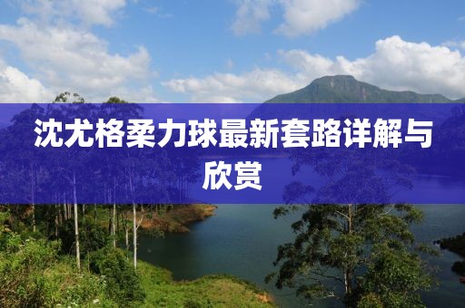 沈尤格柔力球最新套路详解与欣赏
