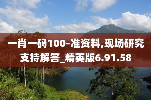 一肖一码100-准资料,现场研究支持解答_精英版6.91.58