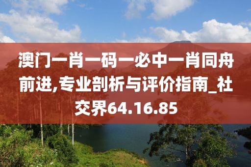 澳门一肖一码一必中一肖同舟前进,专业剖析与评价指南_社交界64.16.85