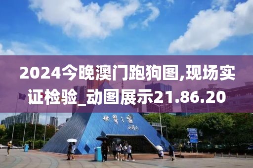 2024今晚澳门跑狗图,现场实证检验_动图展示21.86.20