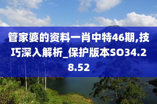 管家婆的资料一肖中特46期,技巧深入解析_保护版本SO34.28.52