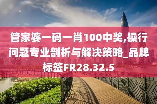 管家婆一码一肖100中奖,操行问题专业剖析与解决策略_品牌标签FR28.32.5