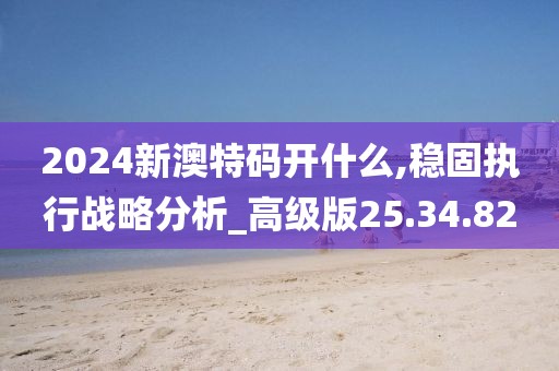 2024新澳特码开什么,稳固执行战略分析_高级版25.34.82
