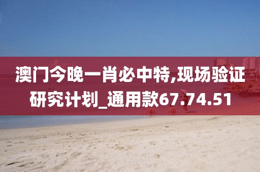 澳门今晚一肖必中特,现场验证研究计划_通用款67.74.51