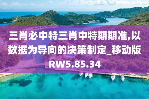 三肖必中特三肖中特期期准,以数据为导向的决策制定_移动版RW5.85.34