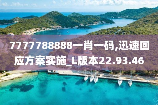 7777788888一肖一码,迅速回应方案实施_L版本22.93.46